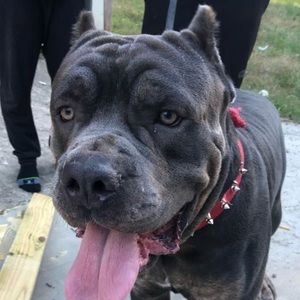 Meet your Posher, Mark